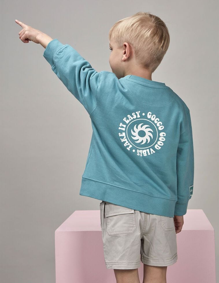 Felpa con stampa azzurra