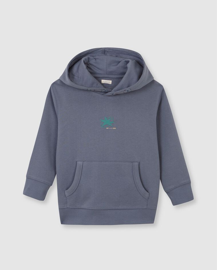 Sweat &agrave; capuche bleu clair