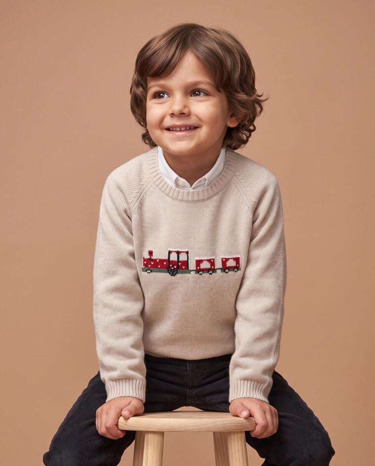 Pull de No&euml;l couleur pierre gar&ccedil;on