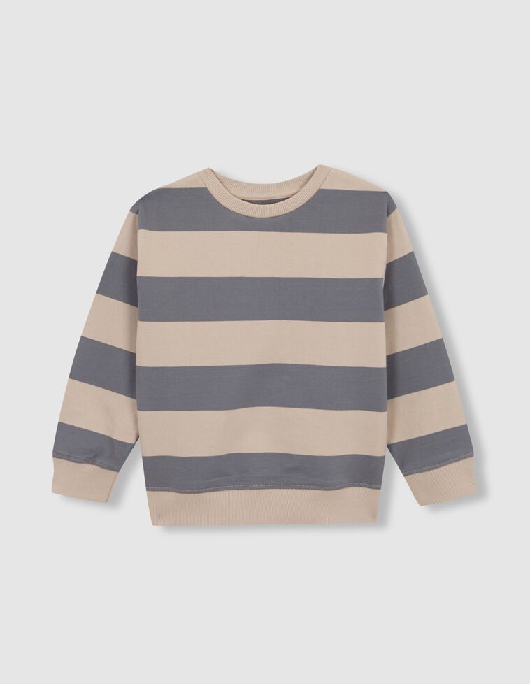 Sweat-shirt à rayures bleu clair