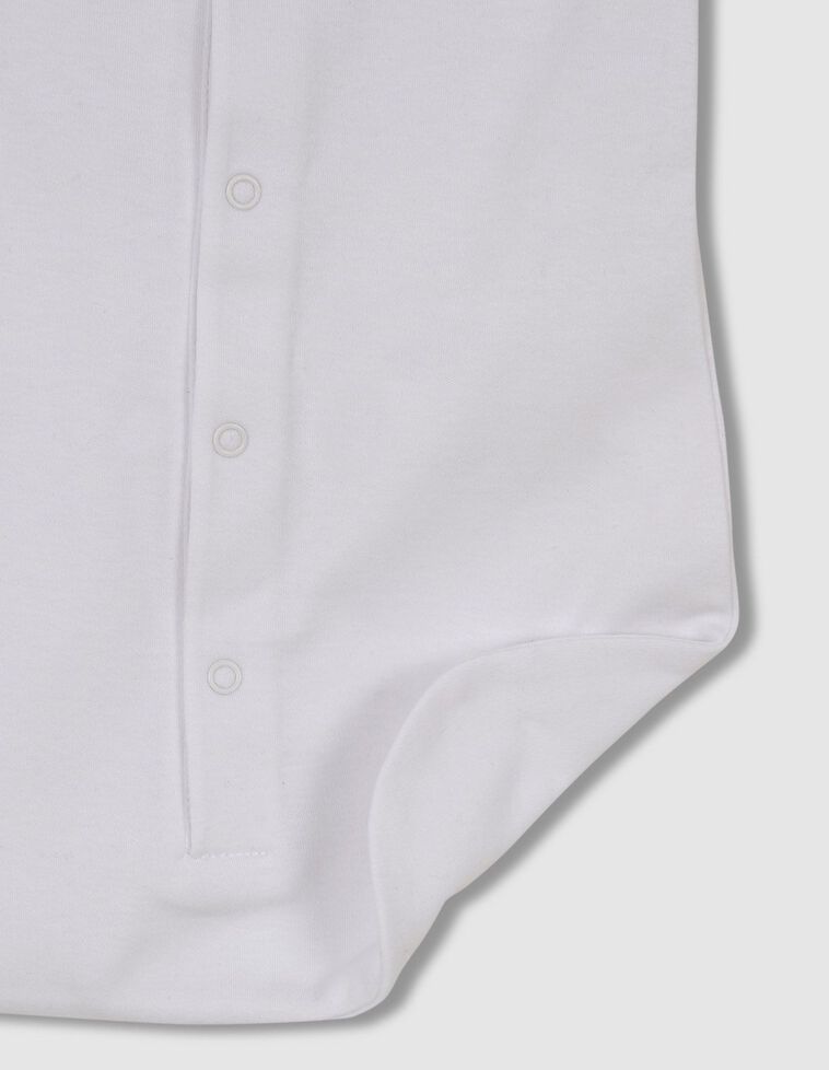  image number 4