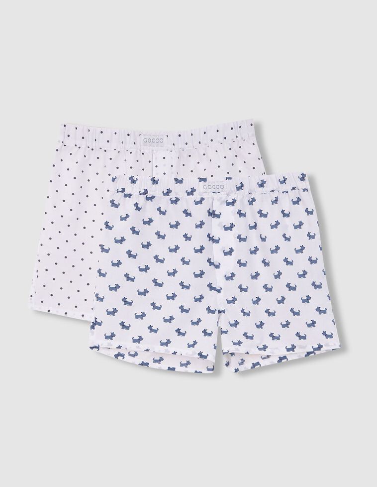 Lot de deux slips blancs