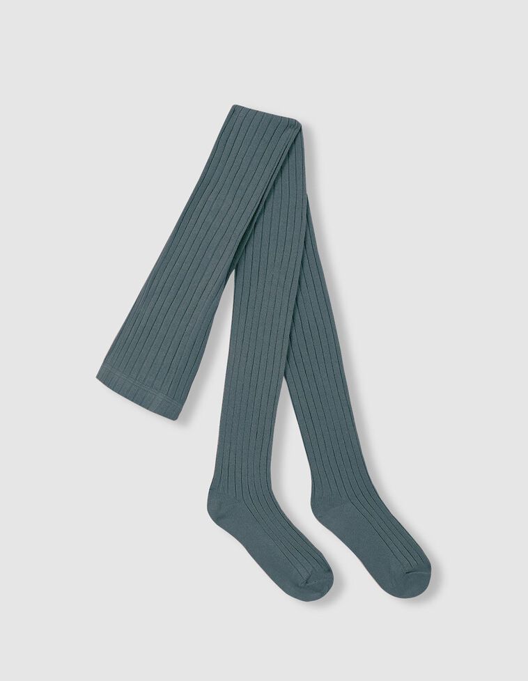 Collants basiques côtelés bleu clair