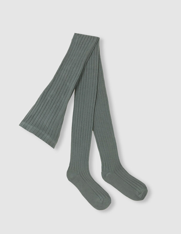 Collants basiques côtelés vert foncé