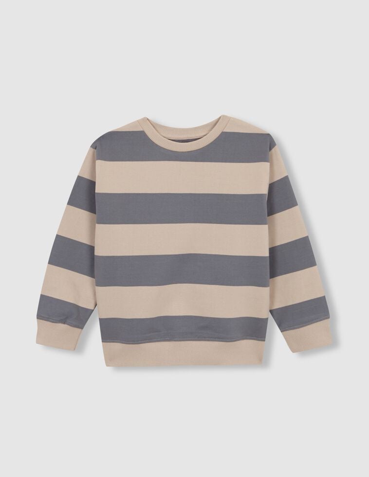 Sweat-shirt à rayures bleu clair