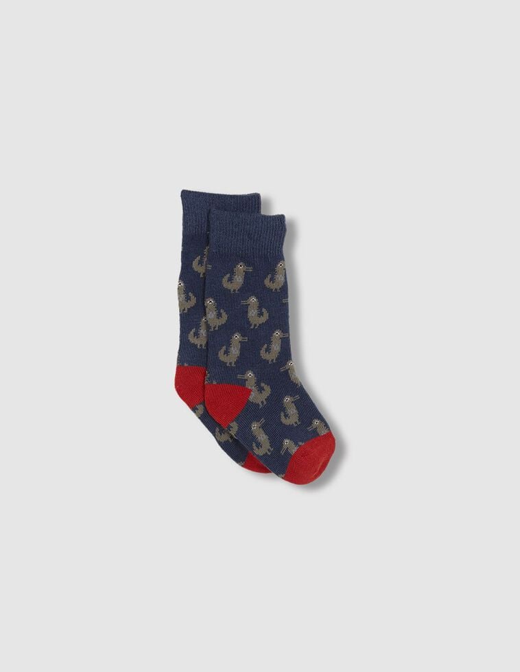 Calzini con coccodrilli blu
