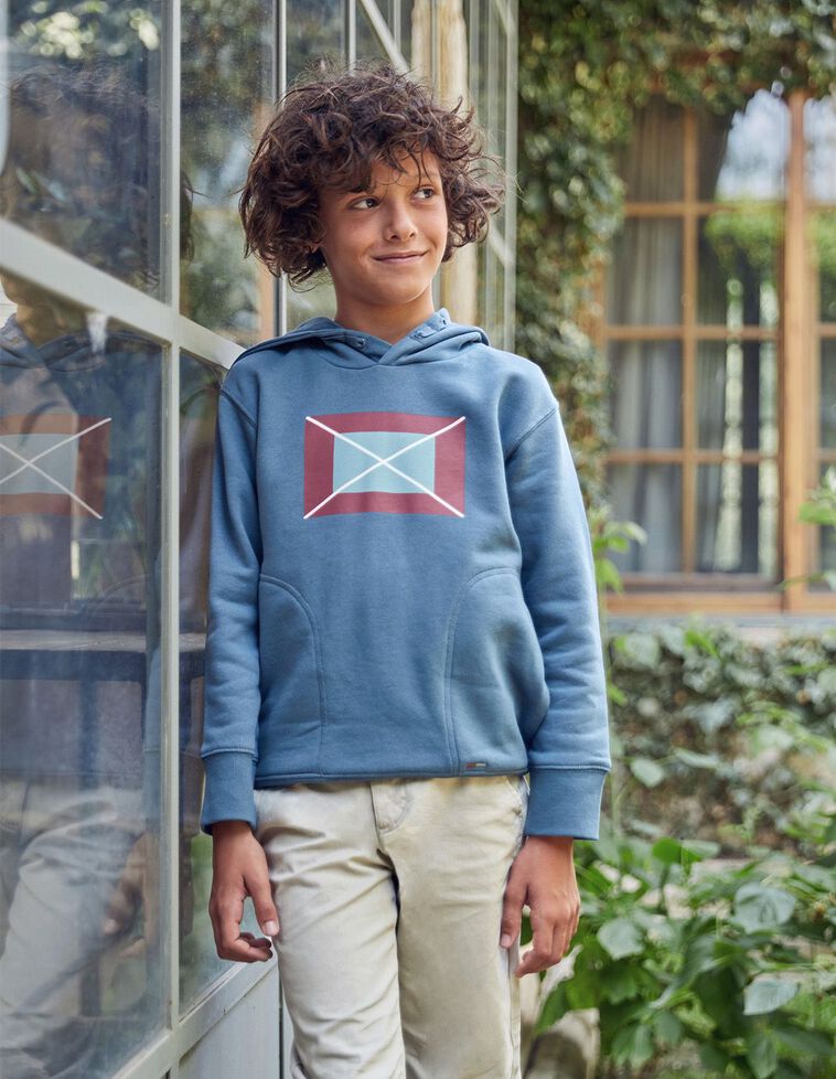 Sweat-shirt Com Capuz Com Bandeira Estampada Azul Médio