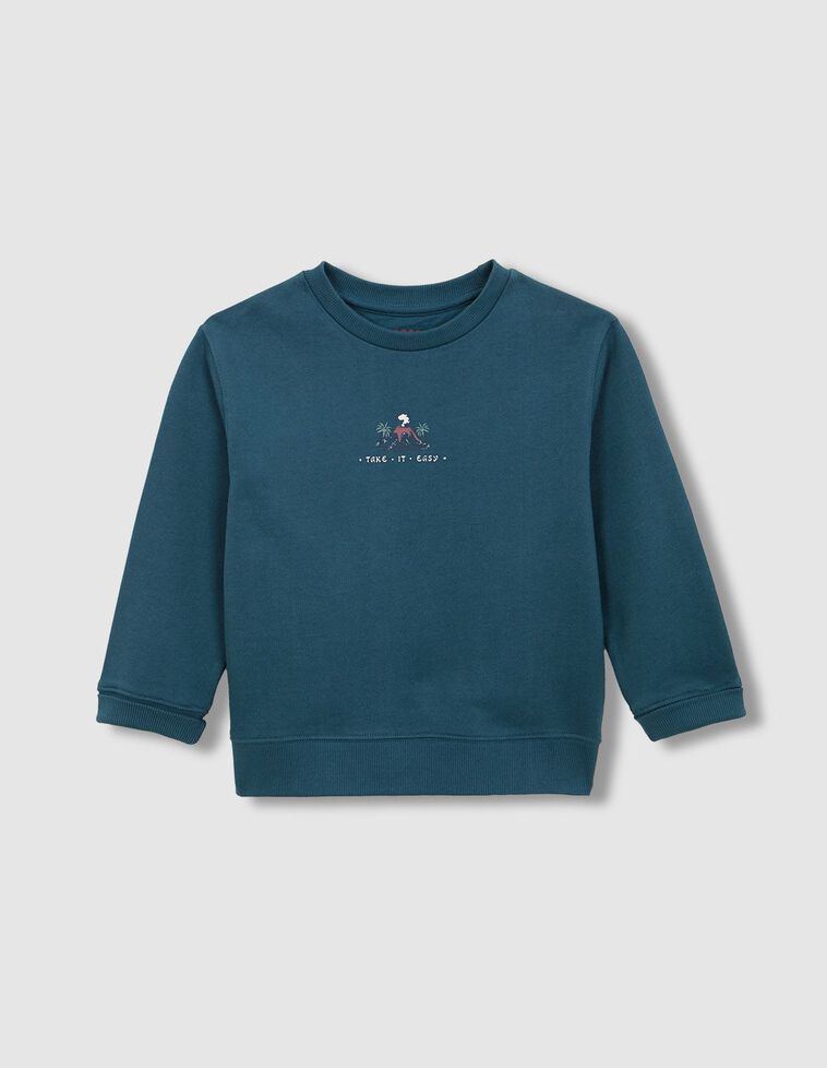 Sweat imprimé volcan vert