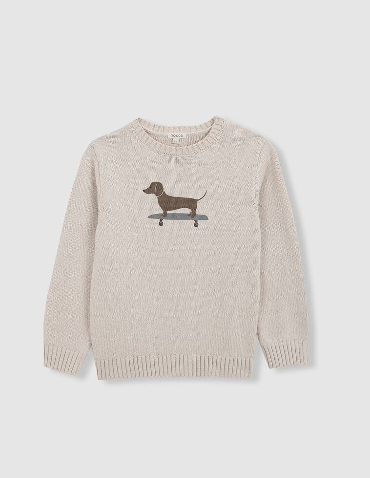 Pull avec intarsia pierre