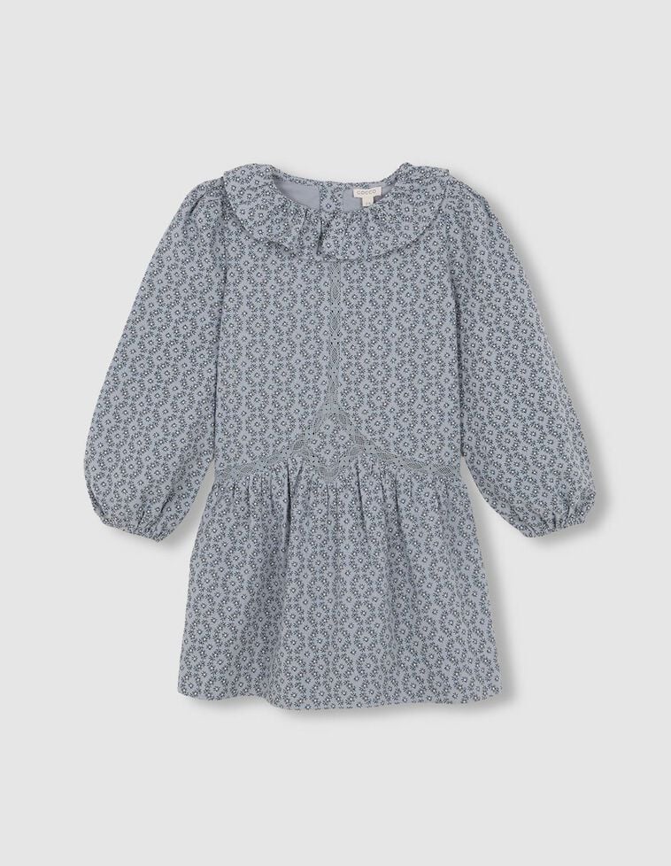 Robe à fleurs bleues