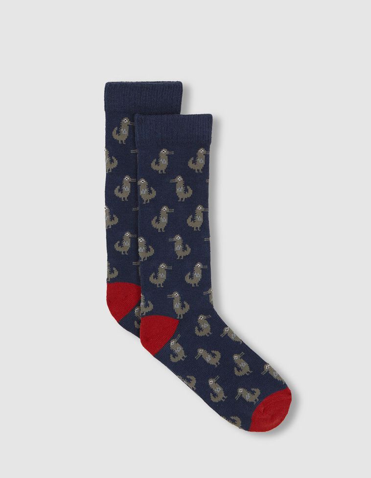 Meias com crocodilos azuis